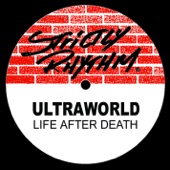 Life After Death (House of Aviance Mix) artwork
