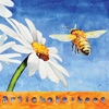 Bees, 2010