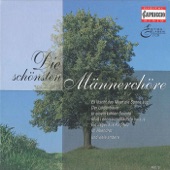 Standchen (Serenade), Op. 135, D. 920a artwork