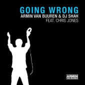 Going Wrong (Armin van Buuren’s Extended Mix) artwork