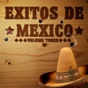 Exitos De Mexico Vol 3, 2011
