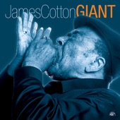James Cotton - Blues For Koko