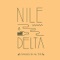 All This (Chicken Lips Malfunction) - Nile Delta lyrics