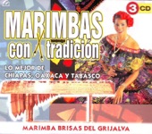 Marimbas Con Tradición - Lo Mejor de Chiapas, Oaxaca y Tabasco artwork