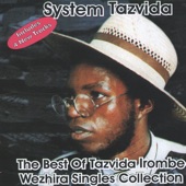 The Best of Tazvida Irombe Weshira Singles Collection artwork