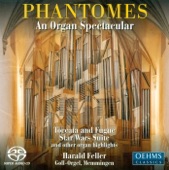 Organ Recital: Feller, Harald - Bach, J.S. - Rossini, G. - Vierne, L. - Rota, N. - Williams, J. - Schneider, E.
