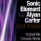 Lost Inside (feat. Alynn Carter) - Sonic Element lyrics