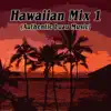 Hawaiian Mix 1 - Single album lyrics, reviews, download