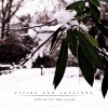 Holes in the Snow - Single