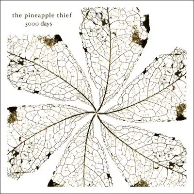 3000 Days - The Pineapple Thief
