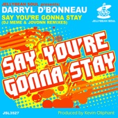 Say You're Gonna Stay (Original Mix) artwork