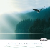Wind of the North: Irish Celtic Music (Stimulating, for a Positive, Optimistic Mood) artwork
