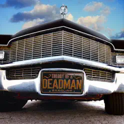 Since You've Been Gone (Country Mix) - Single - Theory Of A Deadman