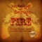 Fire (Tim Ismag Remix) - Robokop & DISTRIKT. lyrics