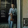 Andrea Marcon & Venice Baroque Orchestra - Concerto in D Minor for Violin, RV 235: III. Allegro