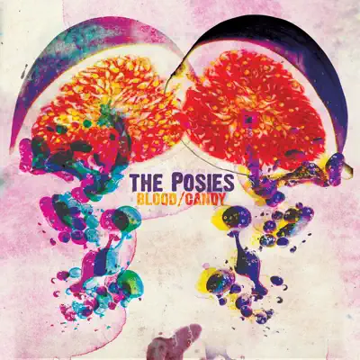 Blood/Candy (Deluxe Version) - The Posies