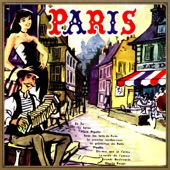 Vintage Accordion In Paris artwork