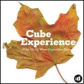 Wake Me Up When September Ends (The Cube Guy's Greenview Mix) artwork