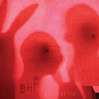 télécharger l'album The Black Heart Procession - Blood Bunny Black Rabbit