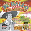 El Gallo Grande - Mi Gusto Es, Vol. I