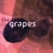 Marmalade - The Grapes lyrics