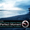 Perfect Moment - Single