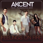 Feelings On Fire (Radio Edit) artwork