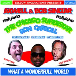 What a Wonderful World (feat. Ron Carroll) - Single - Bob Sinclar