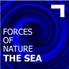 Forces of nature – the sea