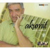 Akumit, 2008