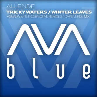 Tricky Waters (Retrospective Mix) by Allende song reviws