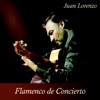 Flamenco de Concierto