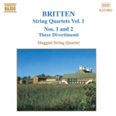 String Quartet No. 1 in D major, Op. 25: IV. Molto vivace artwork