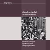 J.S. Bach: Stil'Antico Motetten artwork