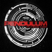 Voodoo People (Pendulum Remix) artwork