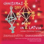 Christmas Joy In Latvia artwork
