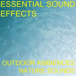 Droplet Drop Drip Liquid Plop Plops Water Surface Faucet Leak Leaking Sound Effects Sound Effect Sounds EFX SFX FX Water Sound Effects Water Drips Song Lyrics