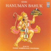 Shri Hanuman Bahuk artwork