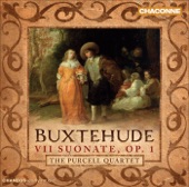 Buxtehude, D.: 7 Sonatas, Op. 1