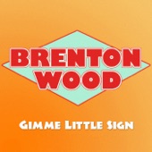 Gimme Little Sign artwork