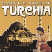 Essential Emotion, Turehia artwork