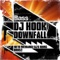 Downfall - DJ Hook lyrics