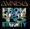 Drop the stick - Amnesia