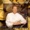 Steve Amerson - In Your Presence