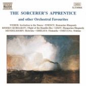 Sorcerer's Apprentice and Other Orchestral Favourites artwork