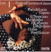 Festival Flamenco Gitano, Vol. 1, 1984