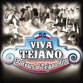 Viva Tejano (30 Years of Tejano Hits)