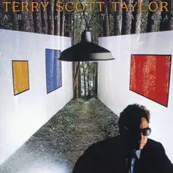 A Briefing For the Ascent - Terry Scott Taylor