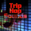 Trip Hop Sounds, 2009
