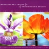 Irresistable Irises, Tremendous Tulips - the Power of Flowers 3